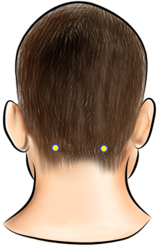 Acupressure Point - Gallbladder 20