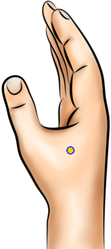 Acupressure Point - Large Intestine 4