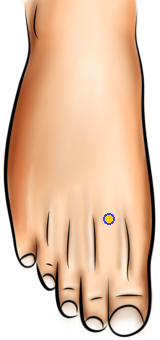 Acupressure Point - Liver 3