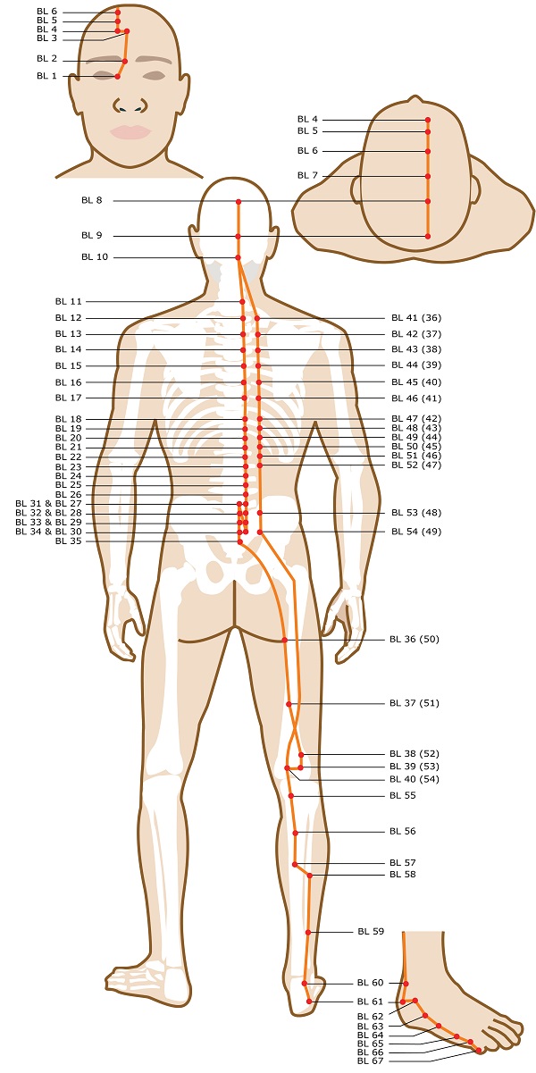 Top Of Foot Pressure Points Chart