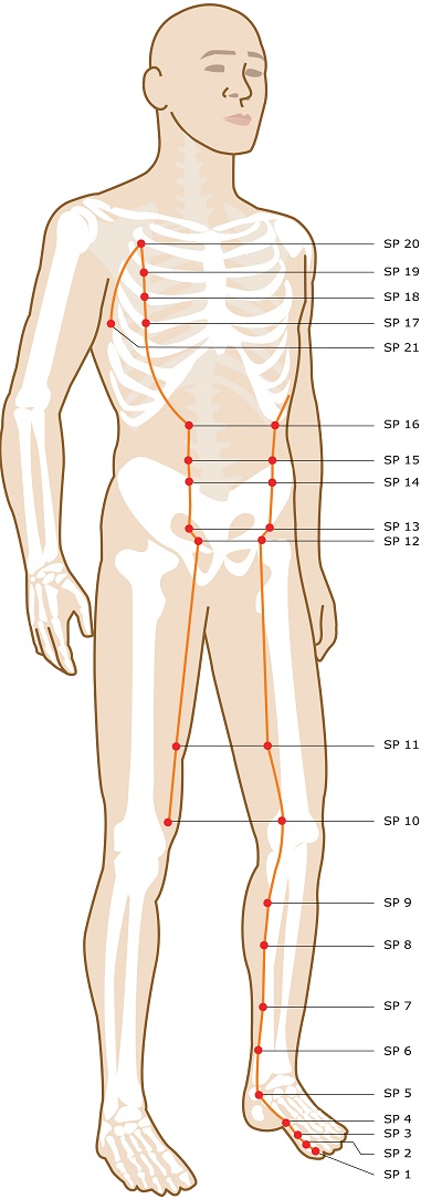 Acupressure Points Leg Chart